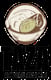 Taza Modern Mexican